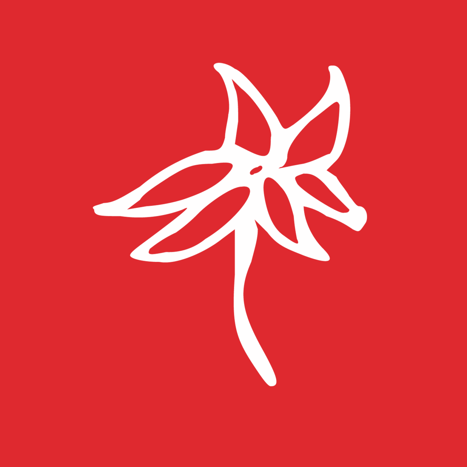 Icons_ANDROS_Karriere_6