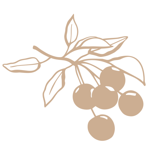 ANDROS_Obst_Gemüse_Milch_freisteller_14