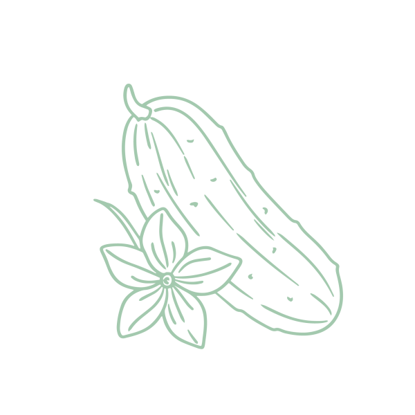 ANDROS_Obst_Gemüse_Milch_freisteller_Startseite_04